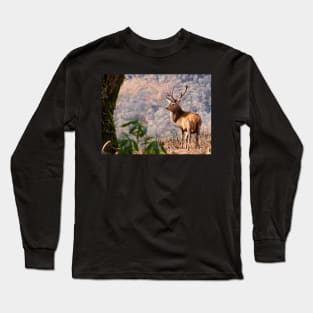 Monarch of the Glen Long Sleeve T-Shirt